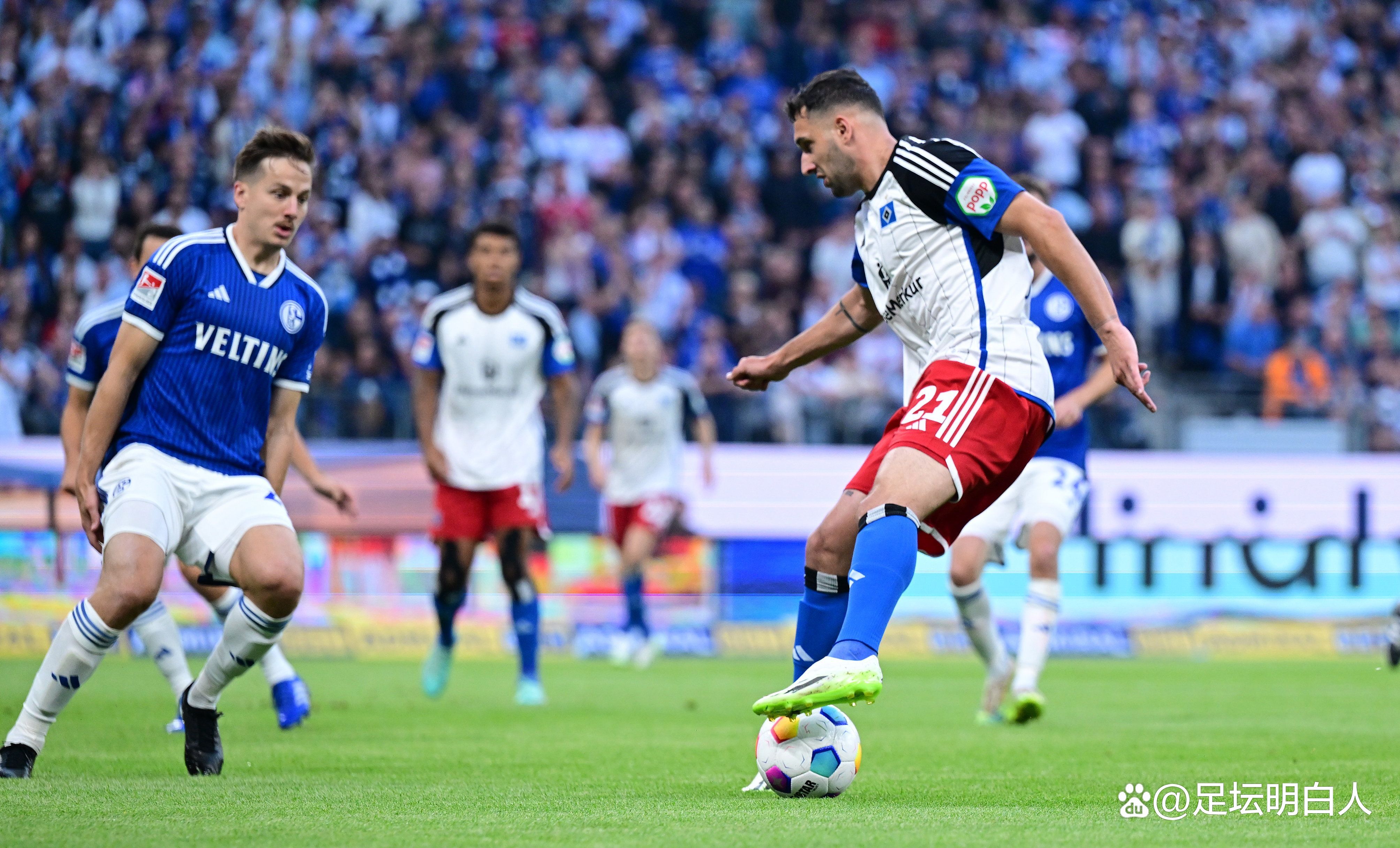 柏林对沙尔克04 柏林对沙尔克04